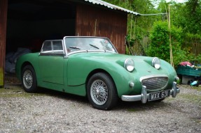 1959 Austin-Healey Sprite