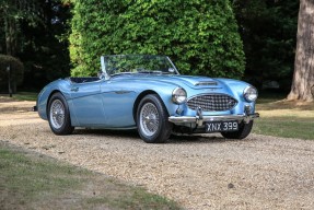 1957 Austin-Healey 100/6