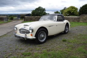 1965 Austin-Healey 3000