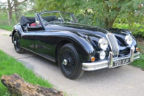 1955 Jaguar XK 140