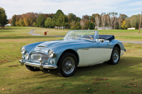 1965 Austin-Healey 3000