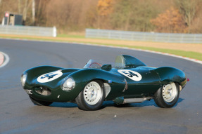 1955 Jaguar D-Type