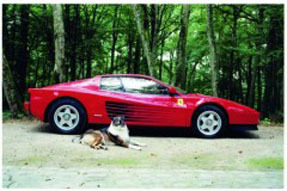 1987 Ferrari Testarossa