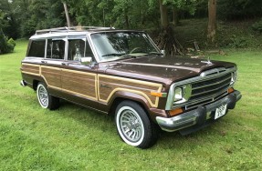 1989 Jeep Grand Wagoneer