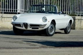 1968 Alfa Romeo Spider