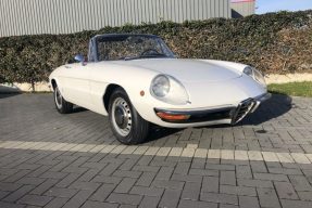 1968 Alfa Romeo Spider