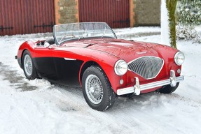 1955 Austin-Healey 100/4