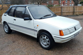 1989 Peugeot 205