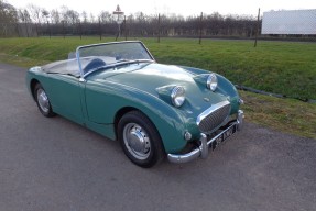 1959 Austin-Healey Sprite