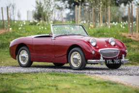 1960 Austin-Healey Sprite