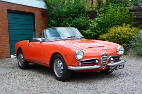 1964 Alfa Romeo Giulia Spider