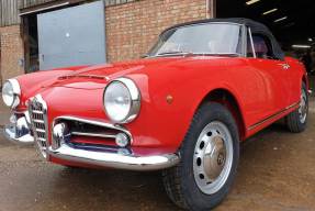 1966 Alfa Romeo Giulia Spider