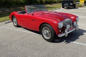 1956 Austin-Healey 100