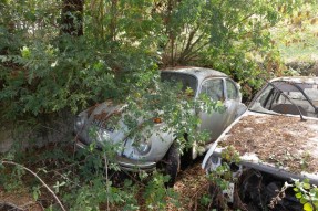 1972 Volkswagen Beetle