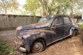 1952 Peugeot 203