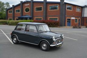 1965 Austin Mini