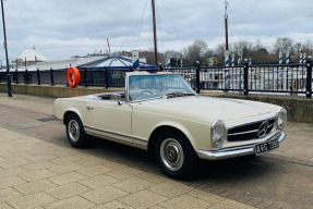 1966 Mercedes-Benz 230 SL