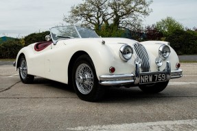 1955 Jaguar XK 140