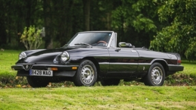 1985 Alfa Romeo Spider