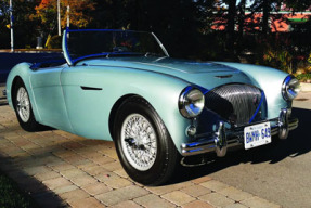 1955 Austin-Healey 100/4