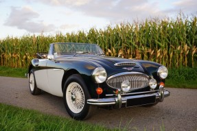 1964 Austin-Healey 3000