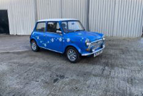 1993 Rover Mini