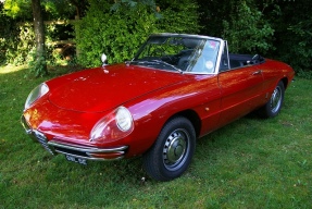 1966 Alfa Romeo Spider