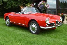 1963 Alfa Romeo Giulia Spider