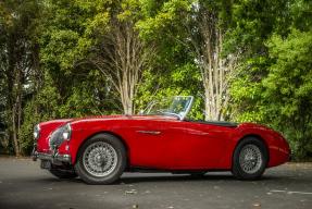 1955 Austin-Healey 100