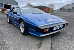 1981 Lotus Esprit Turbo