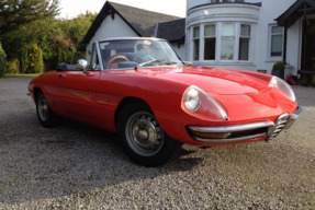 1967 Alfa Romeo Spider