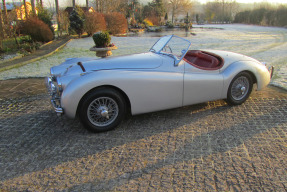 1950 Jaguar XK 120