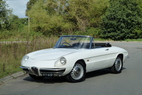 1967 Alfa Romeo Spider