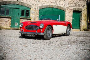 1959 Austin-Healey 3000