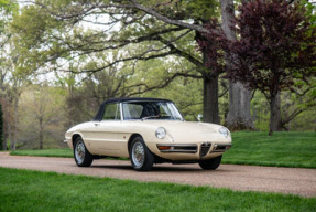 1966 Alfa Romeo Spider