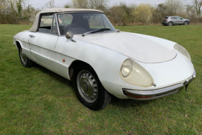 1967 Alfa Romeo Spider