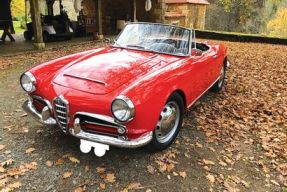 1964 Alfa Romeo Giulia Spider