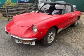 1978 Alfa Romeo Spider