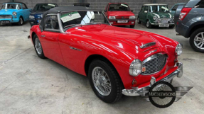 1960 Austin-Healey 3000