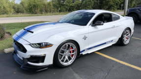 2019 Ford Shelby