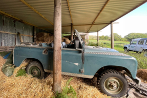  Land Rover Series III