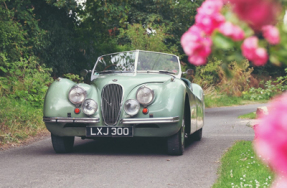 1951 Jaguar XK 120