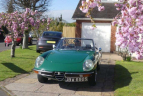 1978 Alfa Romeo Spider