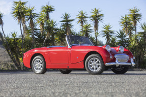 1959 Austin-Healey Sprite