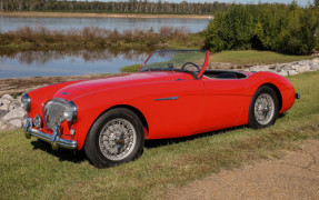 1954 Austin-Healey 100/4