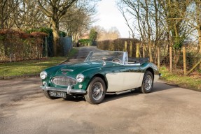 1964 Austin-Healey 3000