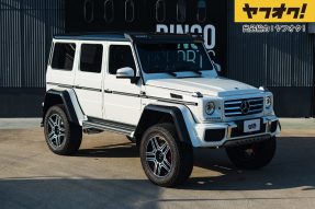 2016 Mercedes-Benz G 500 4x4²