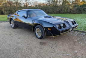 1980 Pontiac Firebird Trans Am