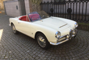 1964 Alfa Romeo Giulia Spider