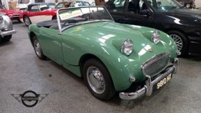 1960 Austin-Healey Sprite